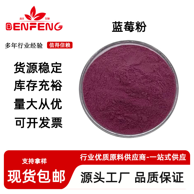 蓝莓粉  蓝莓果粉 蓝莓花青素 固体饮料专用 喷雾干燥 水溶性好