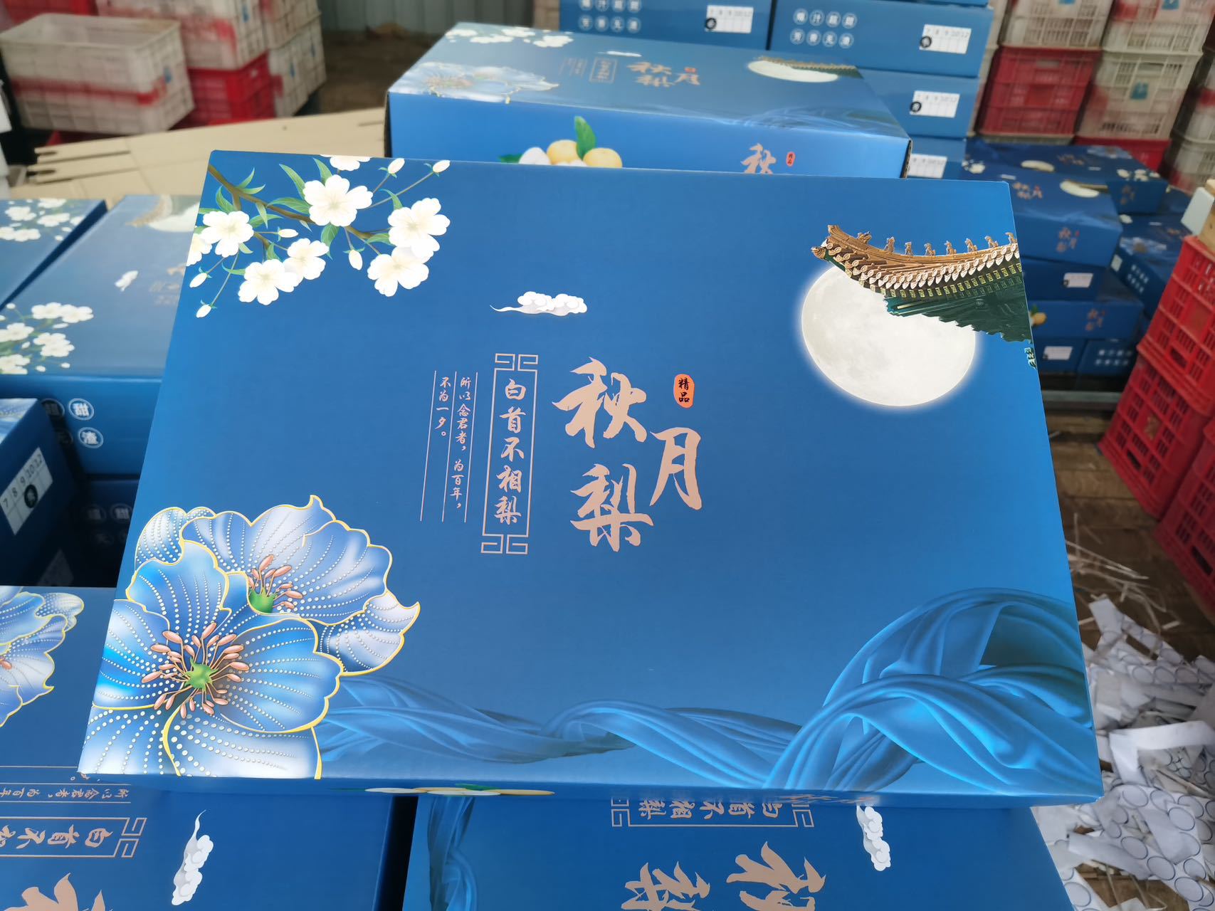 微信图片_20240808173148