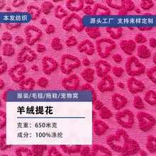 ��q�Ứ �q�� �������|Ьñ̺�ӱ���ë�q���ϏS�ҬF؛