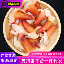 兰花蚌新鲜冷冻日料刺身即食北极贝冰山蚌即食日式商用海鲜批发