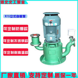 100WFB自吸排污泵自吸水泵 WFB型无密封自吸泵采用无泄漏密封装置