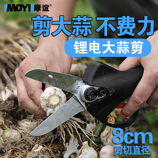 ����늄Ӽ������⌣�ü������C��������߽g���^�C�����������