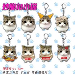 ���ǳ��ɐ�С؈���󁆿���耳׿یW����������b��������նY��