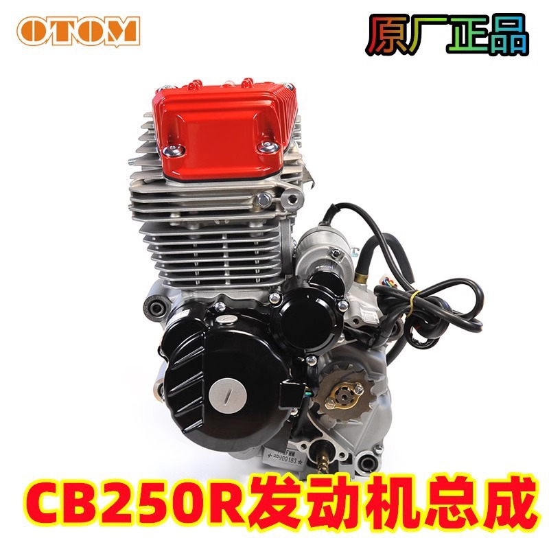 Zongshen Cb250R Four-Valve Air-Cooled Engine New Power Engine Kevius Off-Road Motorcycle Modification