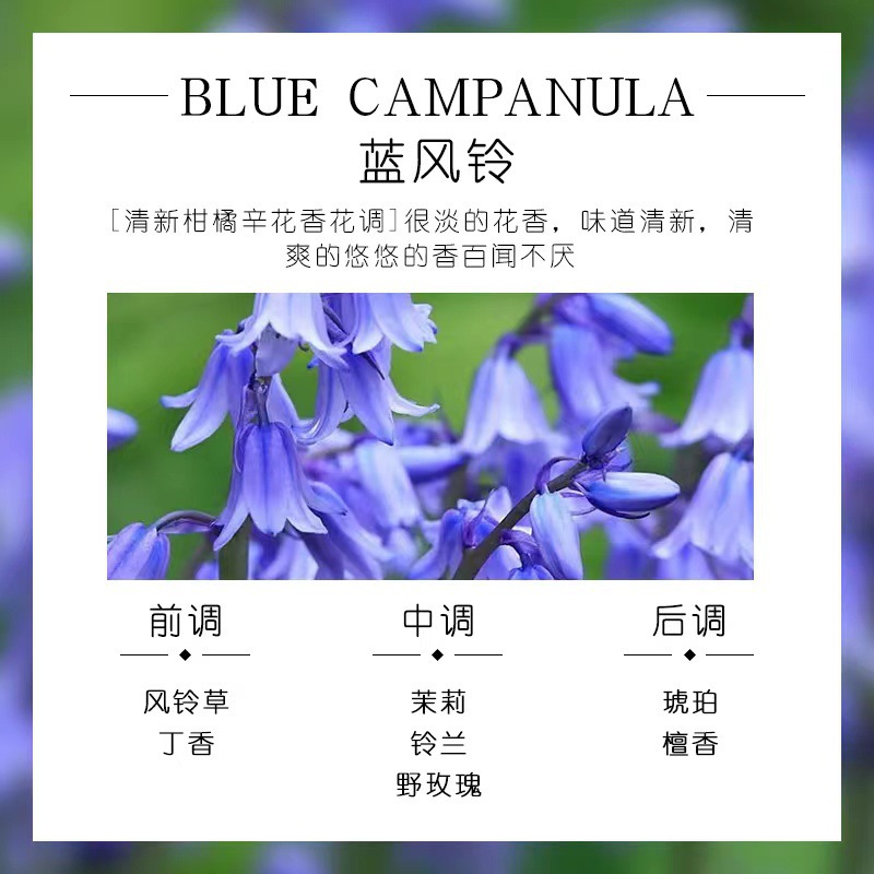 서유럽 푸른 바람 차임 (신선하고 눈길을 끄는)