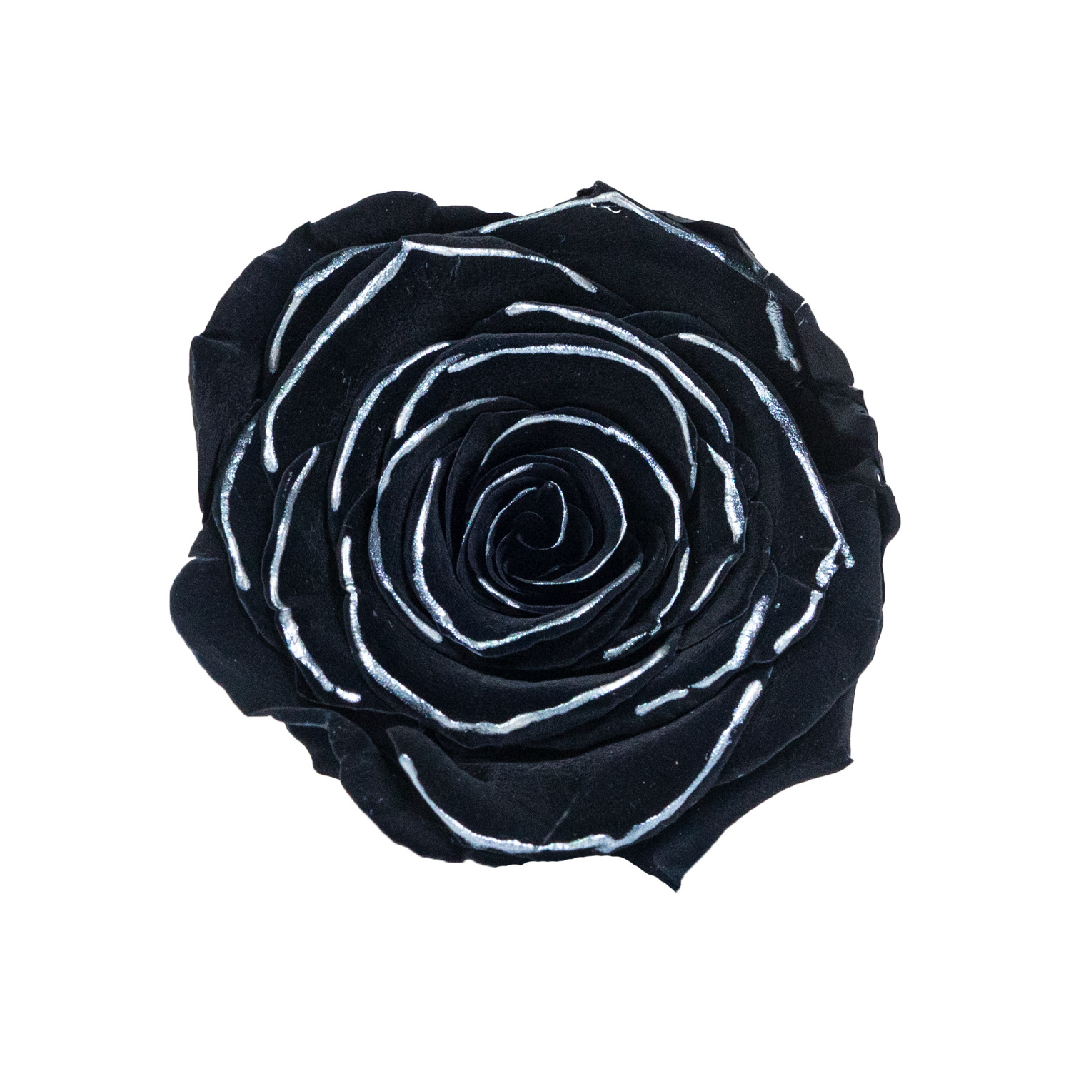 Yunnan eterna flor Rosa cabeza delineador de ojos al por mayor Rosa fragancia oro plata fresca rosa