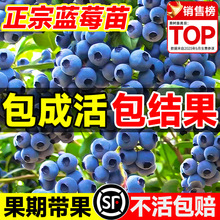 ڎ{ݮϱNֲشͥԺˮ܇Ә