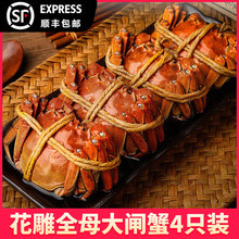 ȫĸ�����������lз��ʳ���lз4ֻ��ʳ�з��з��ʳ����ĸз