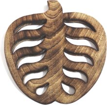 �羳�¿� ��ľ���|�ڒ� ���Ӹ���|���⺆�s ˮ���ڒ� �ɶ���