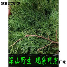 �FժҰ���Y��Ȱؘ�֦��ؘ��~ϴ�l�ݾ�Ѭ�D��DIY�}�Q�仨�h���r