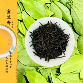 乌龙茶;代用/养生茶;普洱茶