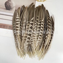 �S����ëĸ�u����C���^������L��ë�Ʒ�����ˇƷ�����b���ë