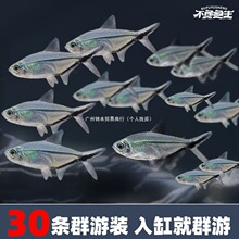 ��β�󹴺�β������~õ�島��ݸ��~Ⱥ���~�^�p�~��ˮ�Ꭷ�~���w
