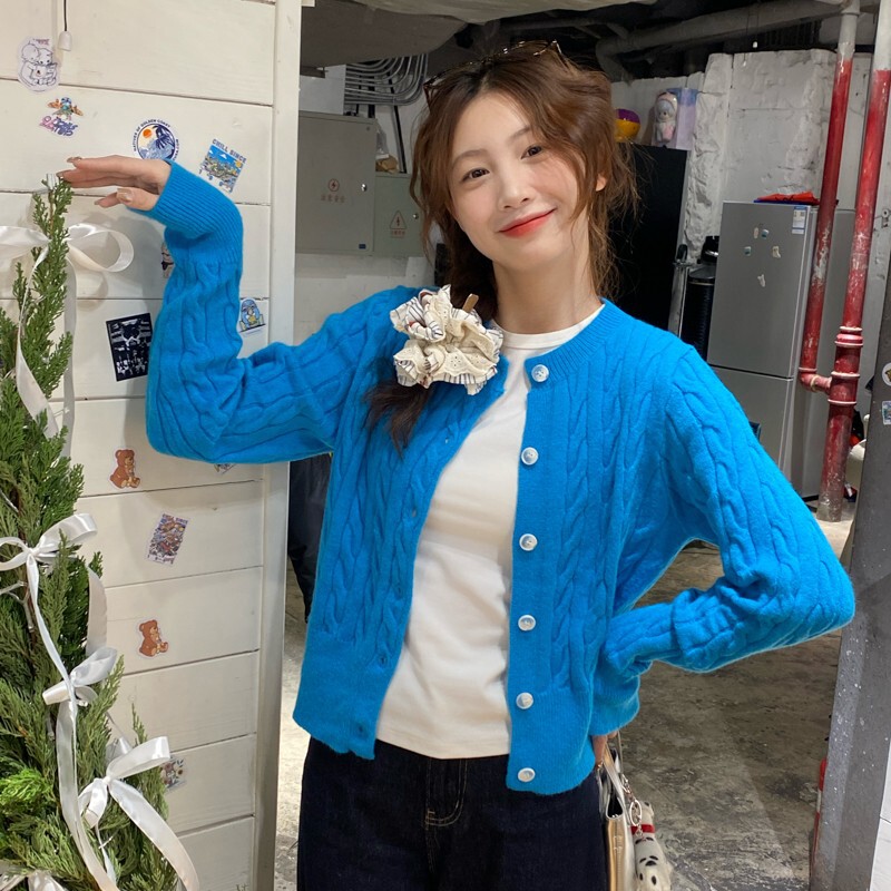 Round Neck Cable-Knit Cardigan for Women, 2026 Autumn New Fashion Sweater, Suitable for Layering or Wearing as an Outerwear Top