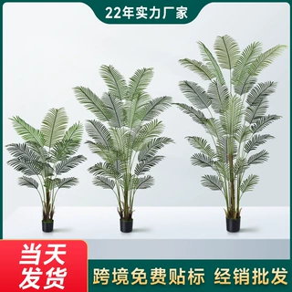 跨境TEMU高级感仿真植物散尾葵带盆客厅装饰摆件落地室内绿植盆栽
