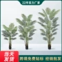 仿真客厅植物盆栽散尾葵