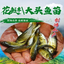 �����硿�I�~�� ���^�~�� �����~�� �����~ˮ�� ����