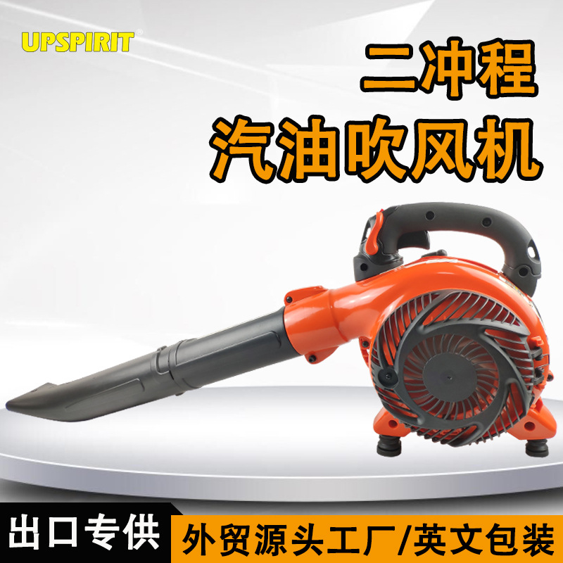 外贸出口大功率汽油吹雪机 260园林工具树叶吹风机 手提式吹灰机