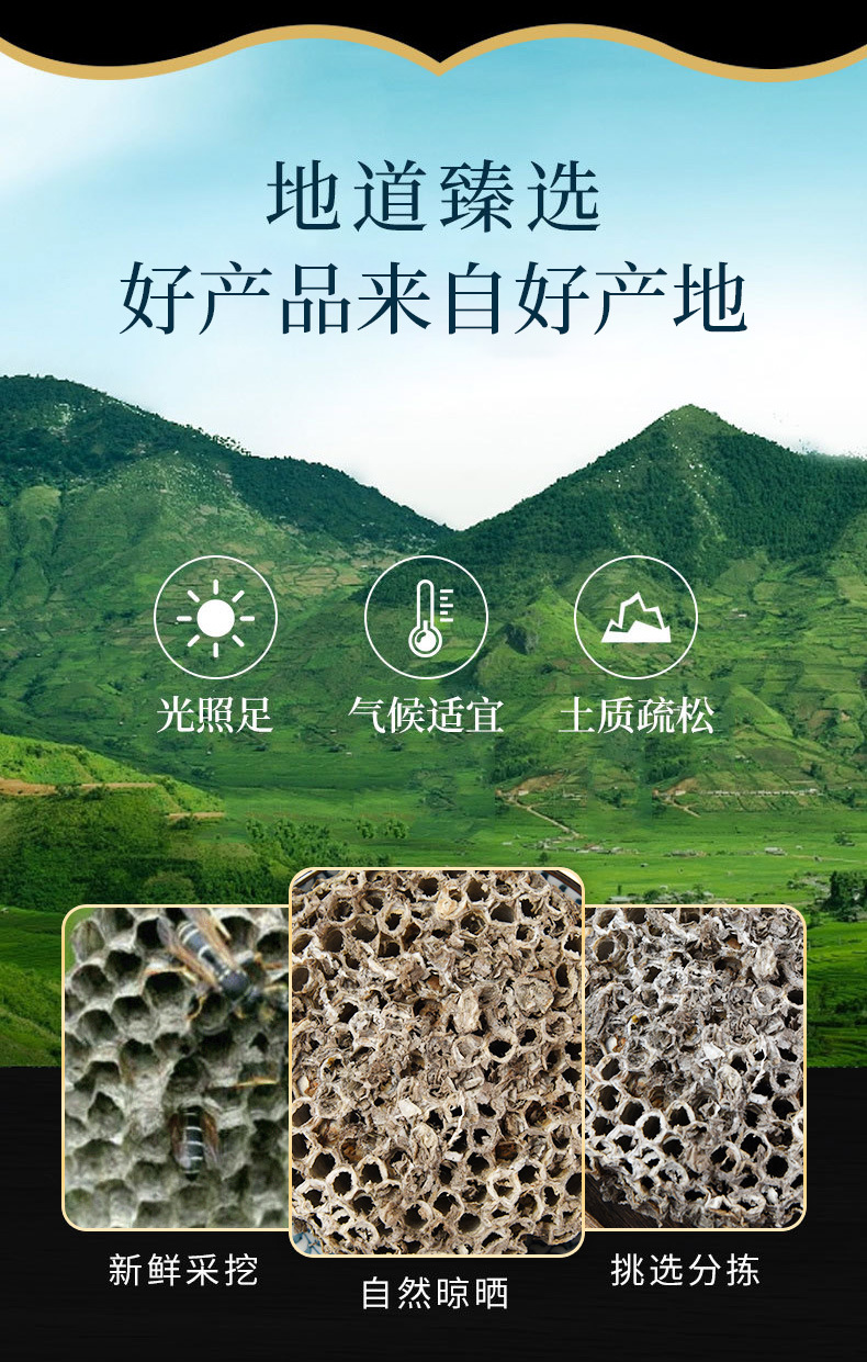 Feng Fang (Vespae Nidus) — Dried Hornet Nest Herb, Whole or Powdered, 500g overview