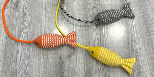 장난감 물고기 (노트 컬러)