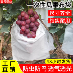 使い捨て不織布瓜果布袋ブドウ梨育果保護袋防虫防鳥防雨果物カバー