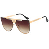 Fashionable sunglasses suitable for men and women, glasses, human head, European style