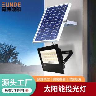 ����̫���Ͷ�������ͥԺ��300W��������Ͷ������r������������