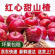 ���rɽ��r����t�����Сɽ�ˮ��ɽ髱��Ǻ��J�����ɽ��t���l