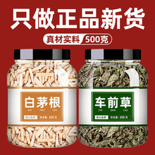 白茅根车前草500g白毛根干煮水干货新鲜茶包的功效中药材批发市场