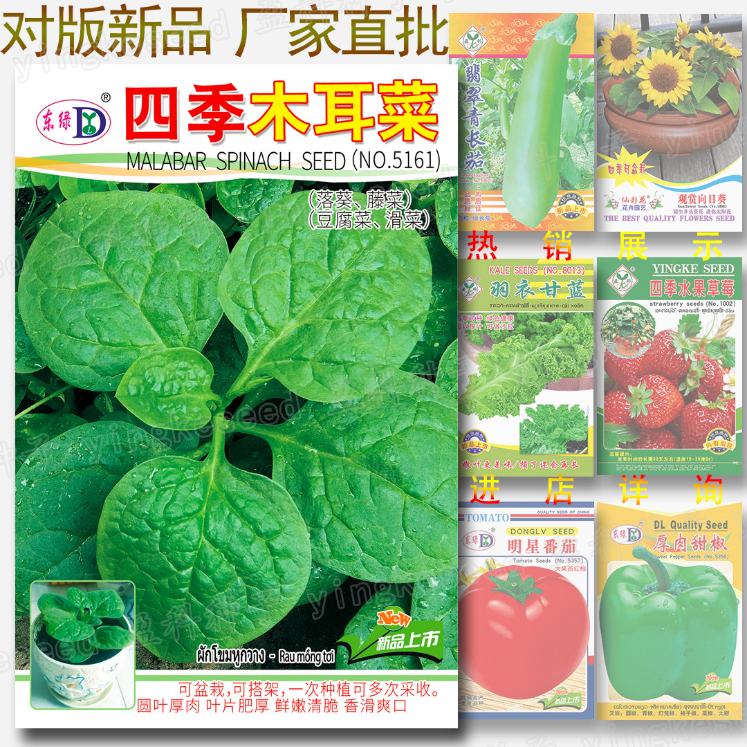 四季木耳菜种子 约90粒 盆栽落葵 厚肉大叶豆腐菜 香滑大圆叶藤菜