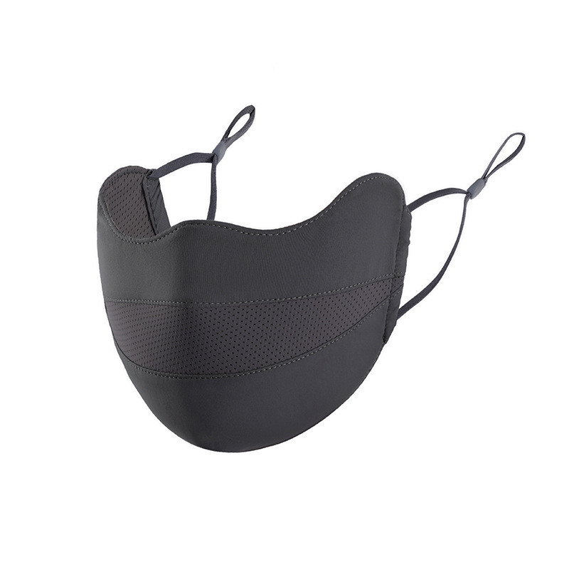 Ceniza de montaña lejana