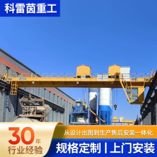 定制10吨双梁起重机移动悬挂轨道双梁欧式起重机设备双梁桥式行车