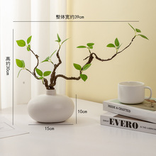 �������¾Gֲ��ֲ��͏d�҃Ȳ廨�[���Ƶ�����b�Ʒ�[��ܛ�b����