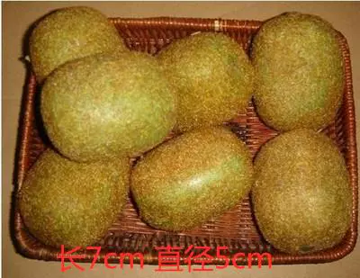 Пластиковые декоративные яблоки и лимоны из поролона, реквизит