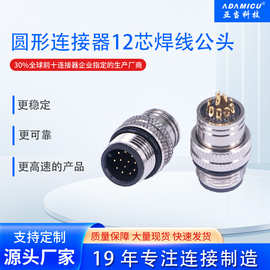 M12航空插头12芯公头圆形连接器IP67工业防水注塑成型焊线式镀金