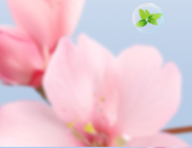Car Aromatherapy High-end Lasting Camellia Eau De Toilette Ornaments Anti-motion Sickness and Odor Purification Air Car Fragrance
