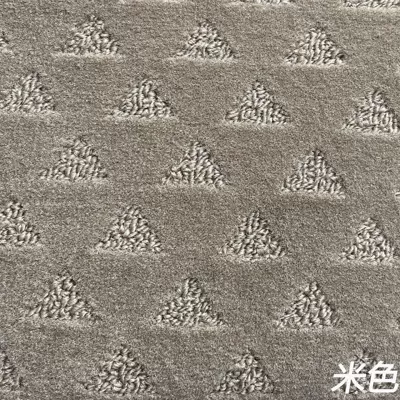 Car Floor Mats, Two-Layer Carpet, 360-Degree Car Carpet - beige