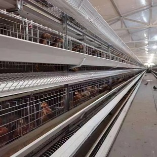 ���Sȫ�׵��u�\�Bֳ�������A��ʽ���u�\�O���Bֳ�O��ɶ���