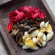 梧桐壳天然植物果壳干花材料创意手工制作拼接干花环相框莲花材料