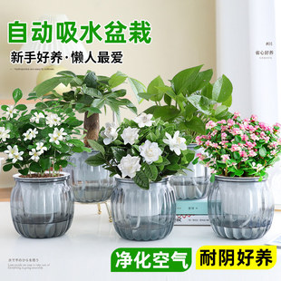 �G�}�j����ֲ��lؔ�����ԗd�ӻ��Gֲ�����k���҃ȶ���ˮ����B��