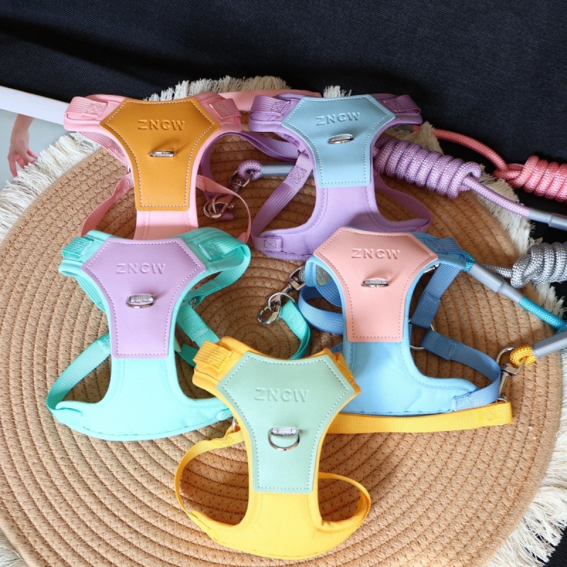 Schmutzabweisende Hundeleine, verstellbares Geschirr für kleine und mittlere Größen, atmungsaktives Seil, Weste für den Außenbereich_voghion.com