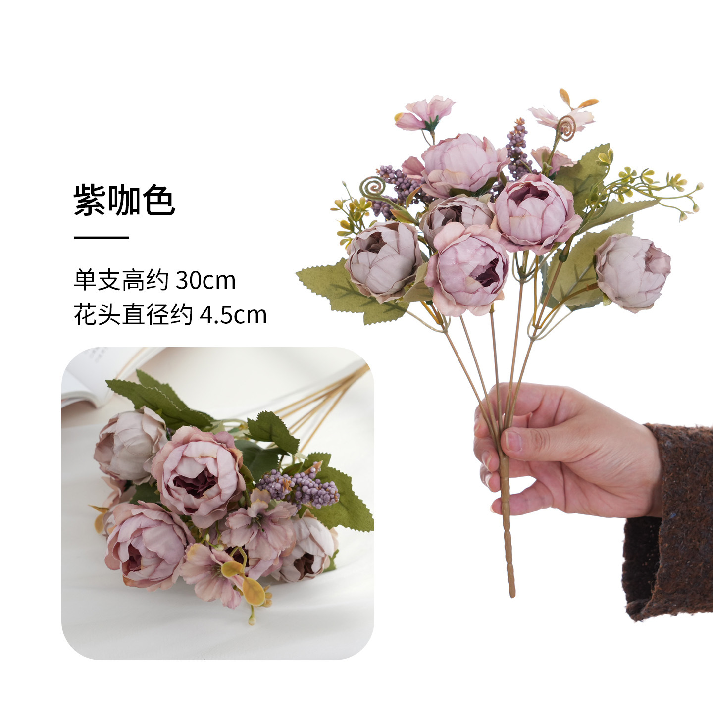 보라색 갈색
