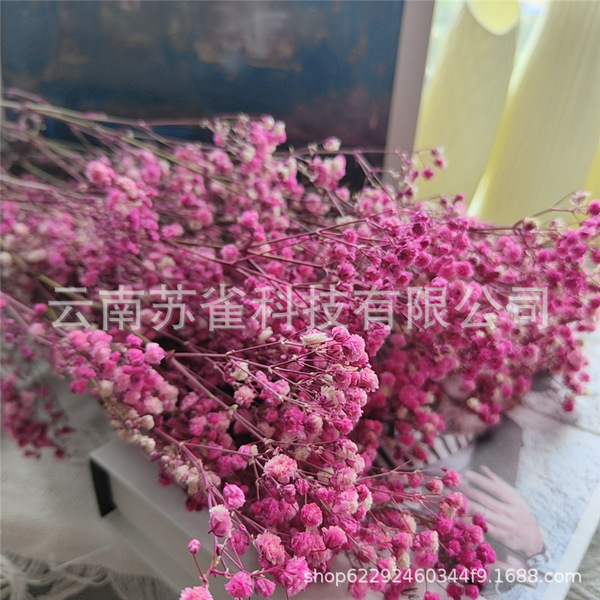 Wholesale Yunnan Ganhua Eternal Flower Flowers Di Flower DIY Bouquet…