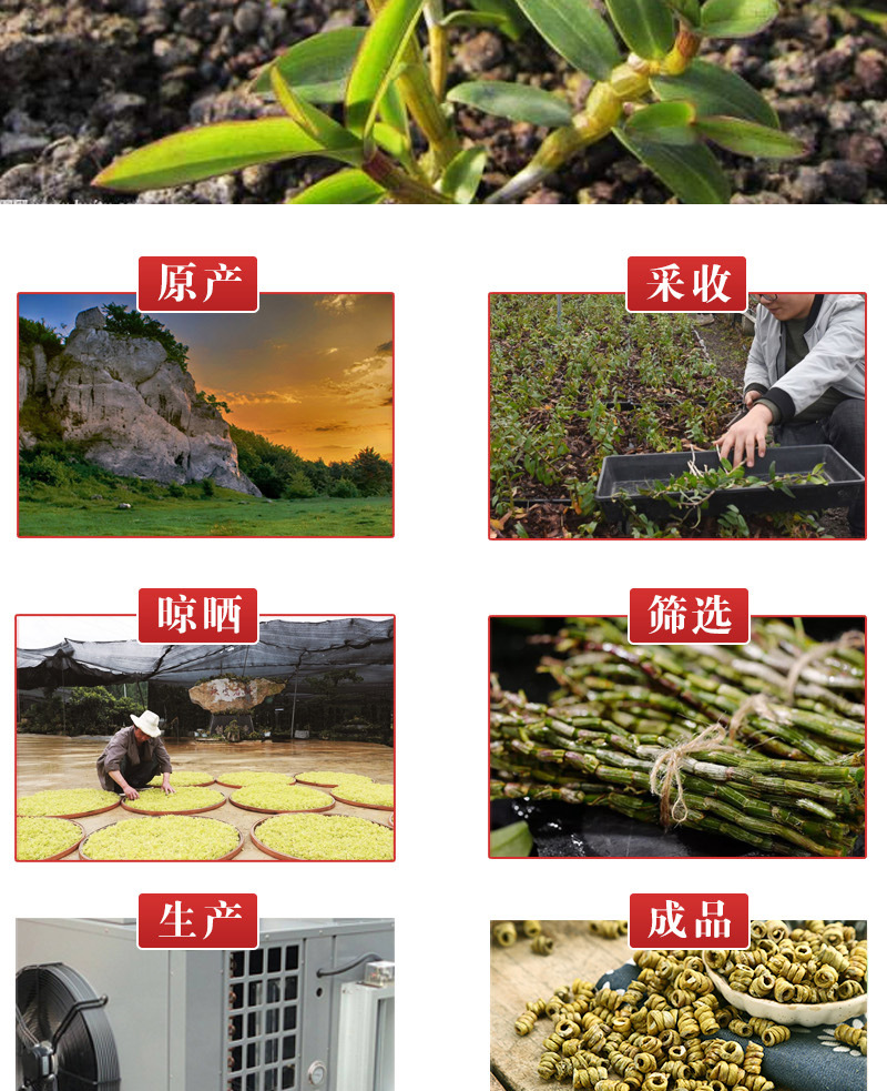 Tie Pi Shi Hu Dried Stems (Dendrobium officinale) — 5-Year Huoshan Feng Dou, 100g specifications