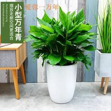 �f���������҃��ļ������¼�����ȩ�����՚��׻��ͺ��͟���B�Gֲ