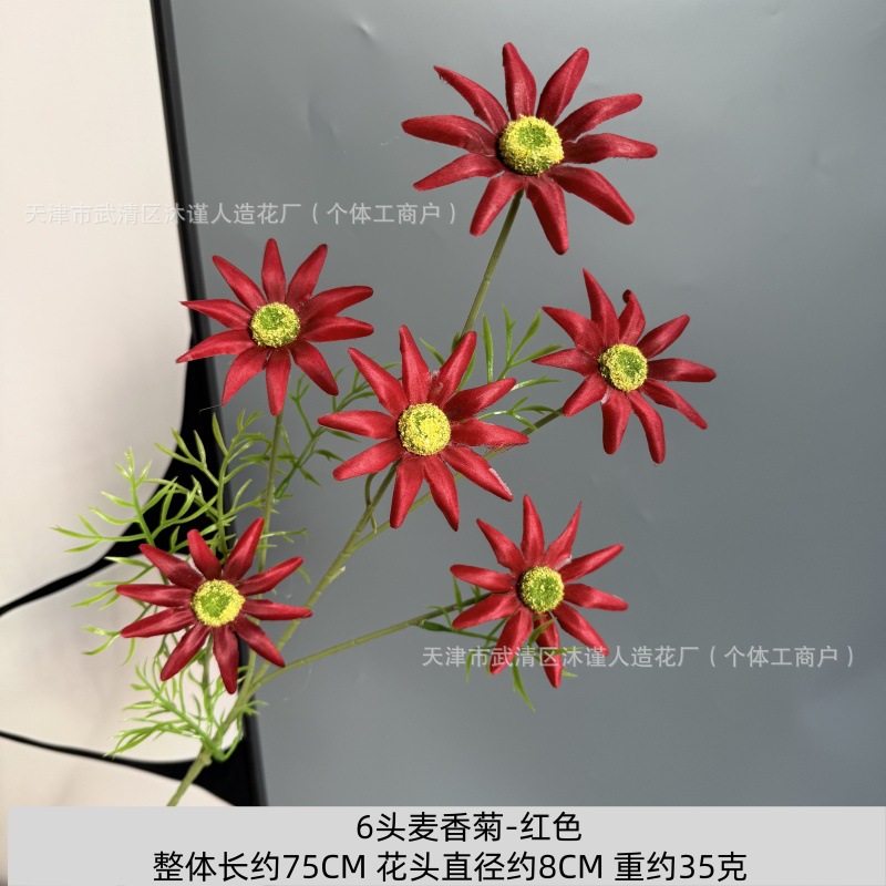 밀 향기로운 국화 6개