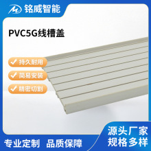 �S��ֱ�N���ƭh��PVC5G�����w �����p����ȼ��ĥPVC���w�ӹ�