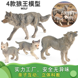 �羳���挍��Ұ������ģ�����������ǹ���������������ͯ�J֪�[��