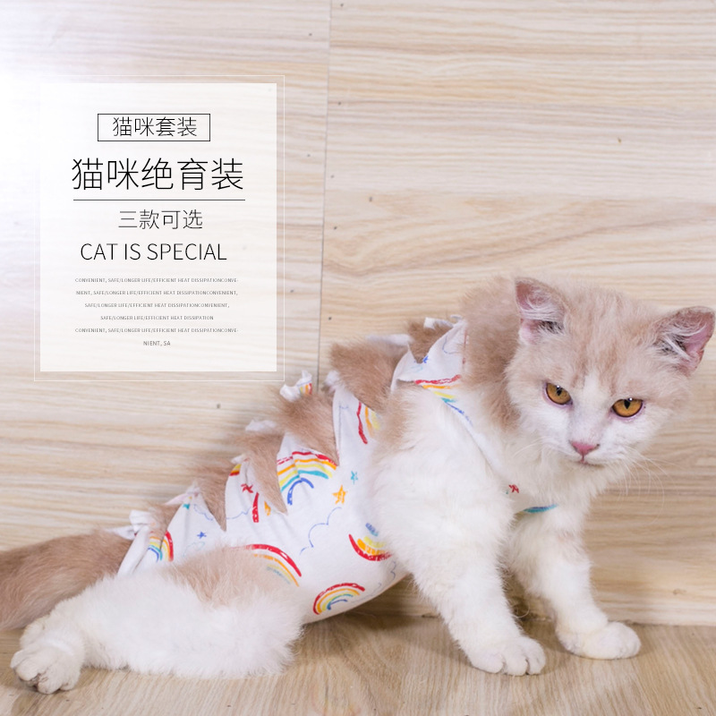 애완동물옷, 고양이옷, 수술후 살균복, 이유식, 핥음방지, 격리균, 통기성, 편안함, 강아지 비숑 생리팬츠