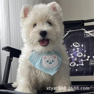 ���ۼ��N���ߵ���Ȯ���wܛë���ߵذ׹�����Ȯ���ﹷС��Ȯ����
